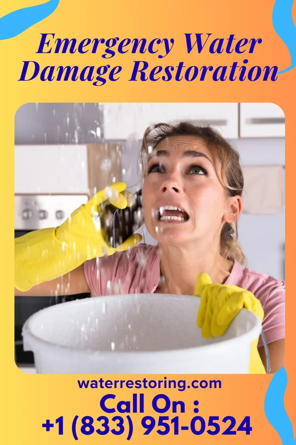 Emergency Water Damage Restoration in Johnsonville, SC