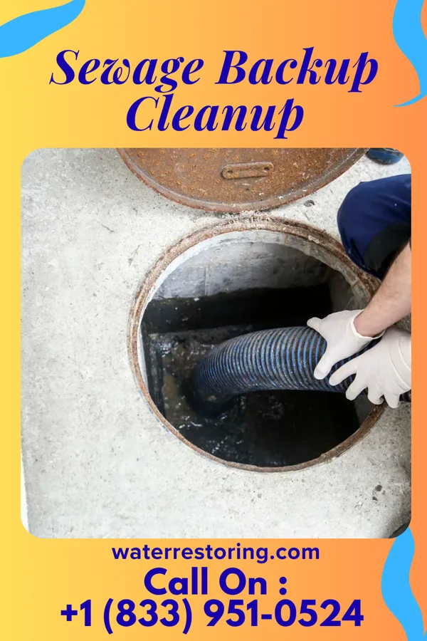 Sewage Backup Cleanup in Johnsonville, SC
